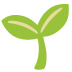 :seedling: :seedling: