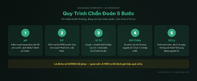 5-Step Diagnostic