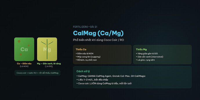 CalMag